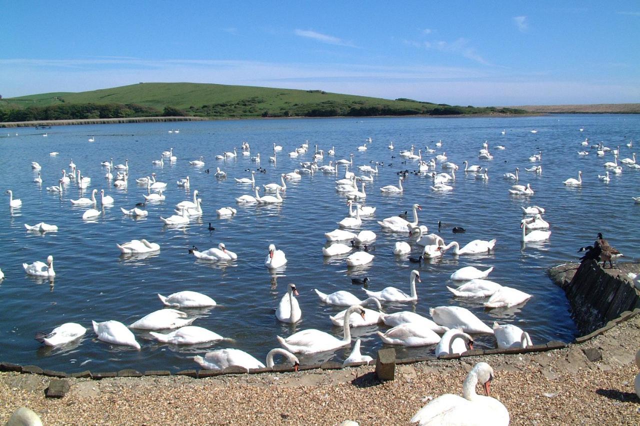 Abbotsbury Tea Rooms エクステリア 写真